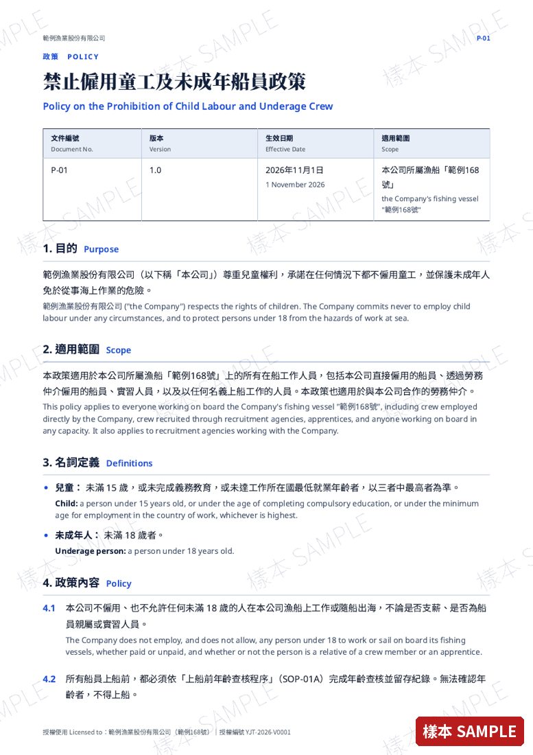 政策範例頁